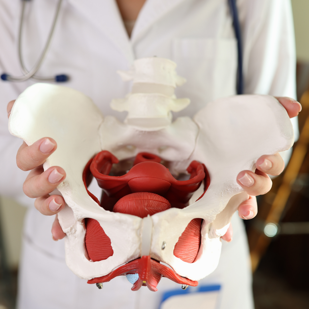 I could never practice pelvic health therapy the way I did before